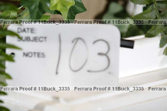 Proof 11buck_3335