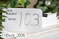 11buck_3335 proof