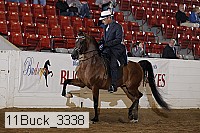 11buck_3338 proof