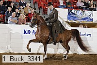 11buck_3341 proof
