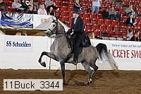 11buck_3344 proof