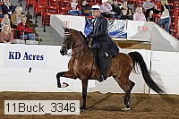11buck_3346 proof