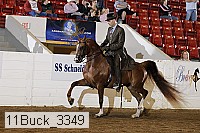 11buck_3349 proof