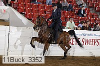 11buck_3352 proof
