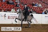 11buck_3354 proof