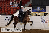 11buck_3355 proof