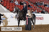 11buck_3358 proof