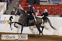 11buck_3360 proof