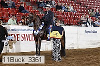 11buck_3361 proof