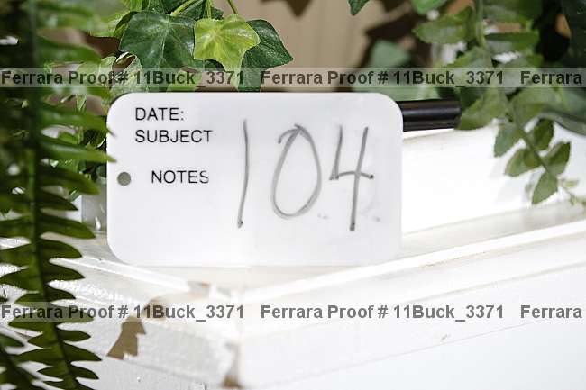 Proof 11buck_3371