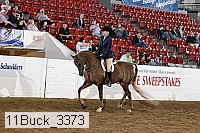 11buck_3373 proof