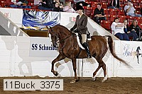 11buck_3375 proof