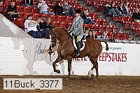 11buck_3377 proof