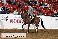 11buck_3380 proof