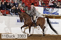 11buck_3383 proof