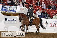 11buck_3386 proof