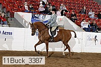 11buck_3387 proof
