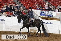 11buck_3389 proof
