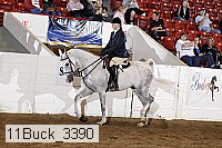 11buck_3390 proof