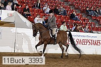 11buck_3393 proof