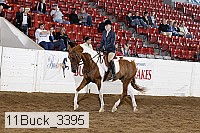 11buck_3395 proof
