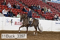 11buck_3397 proof