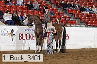 11buck_3401 proof