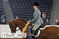 11buck_3412 proof