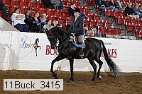 11buck_3415 proof