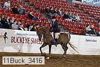 11buck_3416 proof