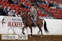 11buck_3418 proof
