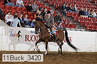 11buck_3420 proof