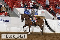 11buck_3421 proof