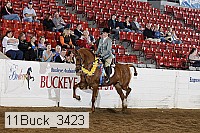11buck_3423 proof