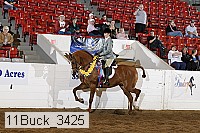 11buck_3425 proof