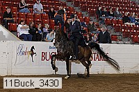 11buck_3430 proof
