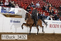 11buck_3432 proof
