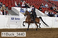 11buck_3440 proof