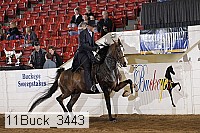 11buck_3443 proof