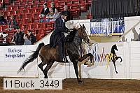 11buck_3449 proof