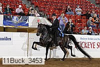 11buck_3453 proof