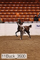 11buck_3500 proof