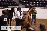 11buck_3507 proof