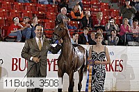11buck_3508 proof