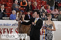 11buck_3510 proof