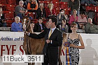 11buck_3511 proof