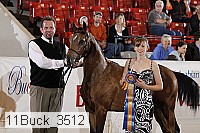 11buck_3512 proof
