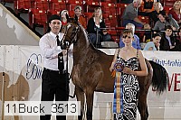 11buck_3513 proof