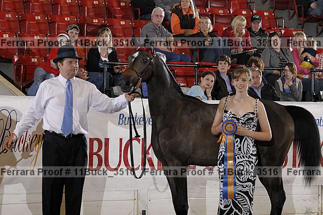 Proof 11buck_3516