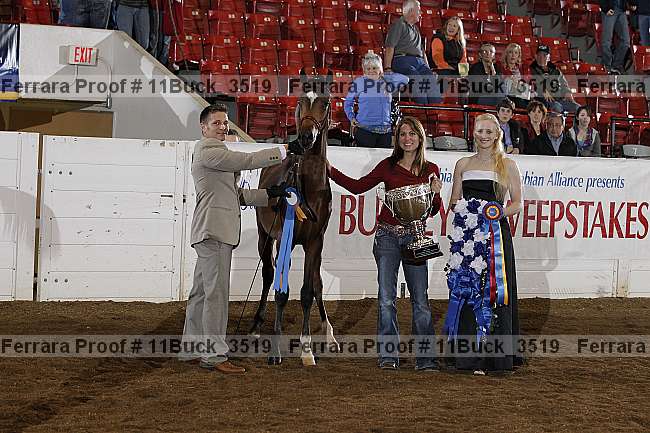 Proof 11buck_3519